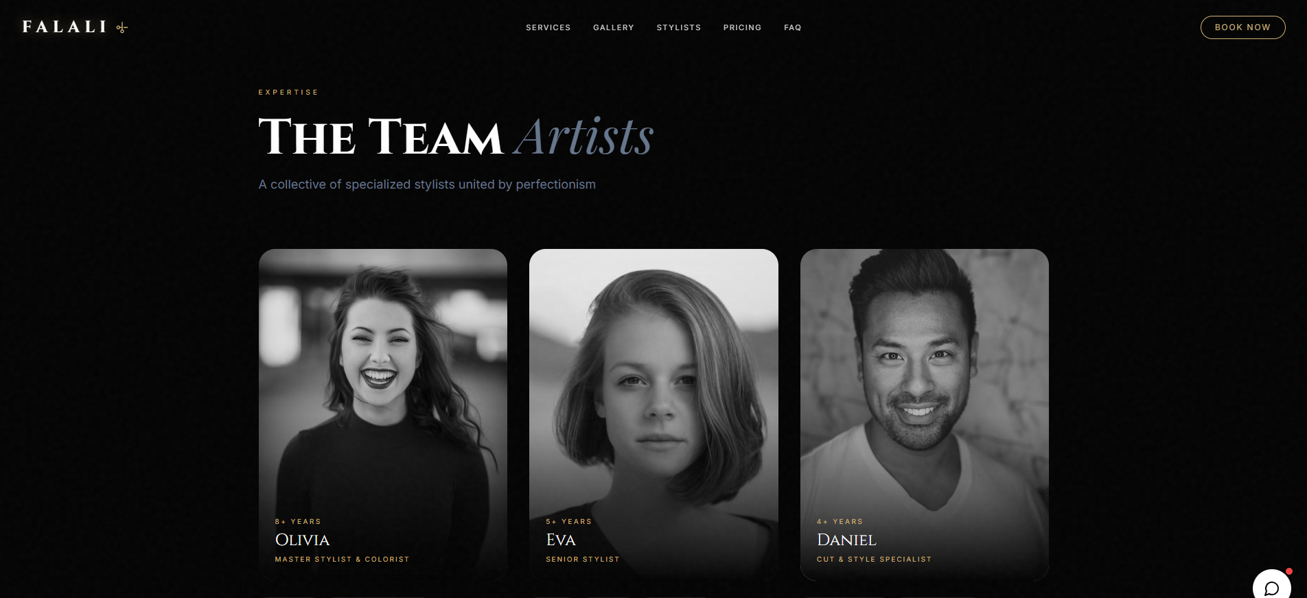 Falali Hair Salon website — Hair Salon & Beauty in USA, built by Septillion
